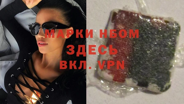 индика Щигры